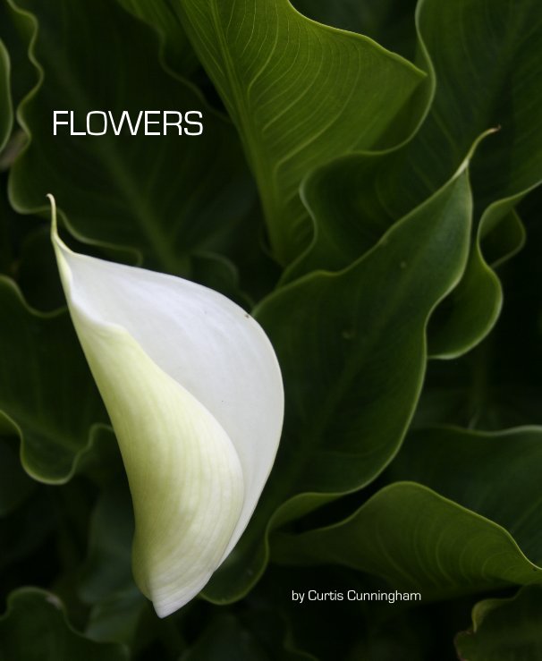 Ver FLOWERS por Curtis Cunningham