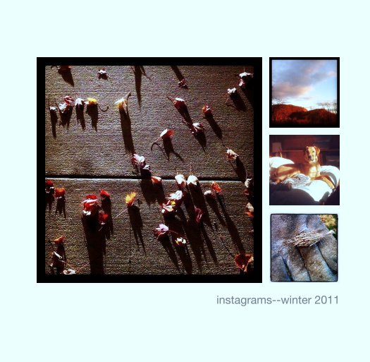Ver instagrams--winter 2011 por janet moore-coll