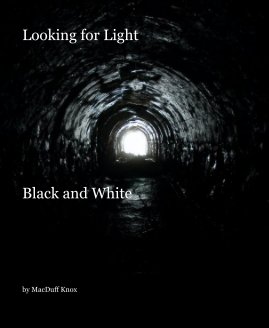 Looking for Light book cover