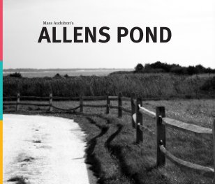 Mass Audubon's Allens Pond book cover