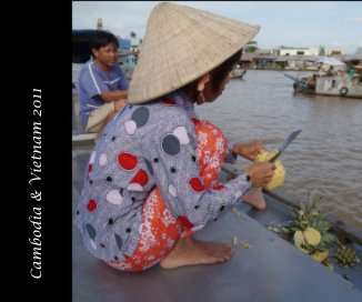 Cambodia and Vietnam 2011 book cover