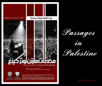 Passages in Palestine book cover