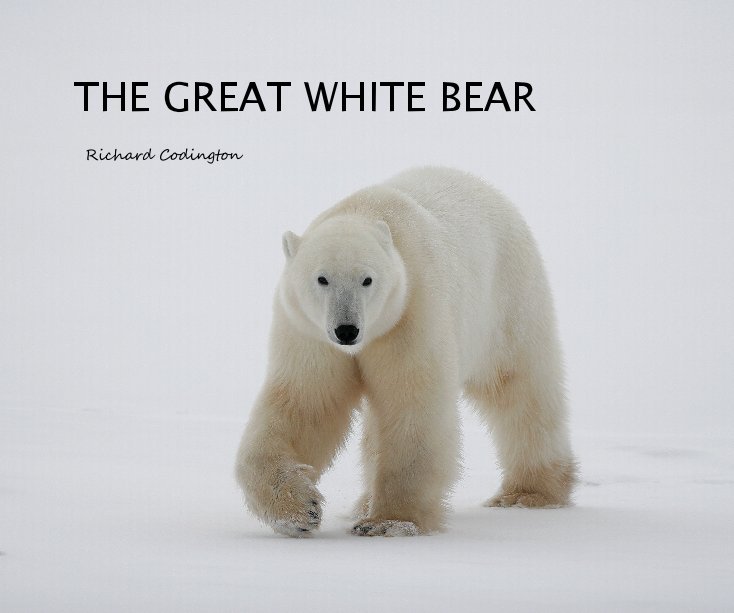 View The Great White Bear by Richard Codington