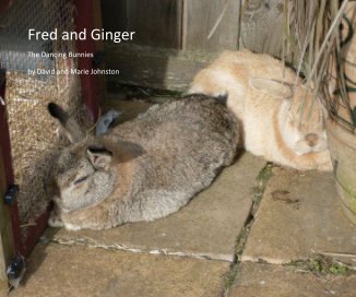 Fred and Ginger book cover