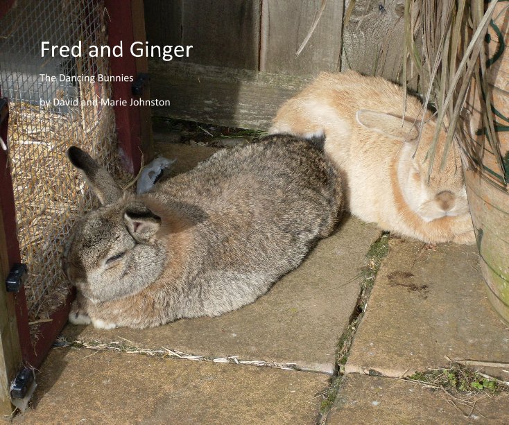 Ver Fred and Ginger por David and Marie Johnston