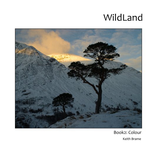 Visualizza wildland-colour 2 di Keith Brame