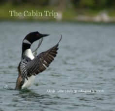 The Cabin Trip book cover