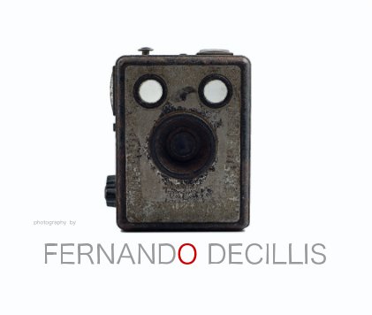 photography by FERNANDO DECILLIS book cover