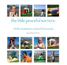 the little peaceful warriors book cover
