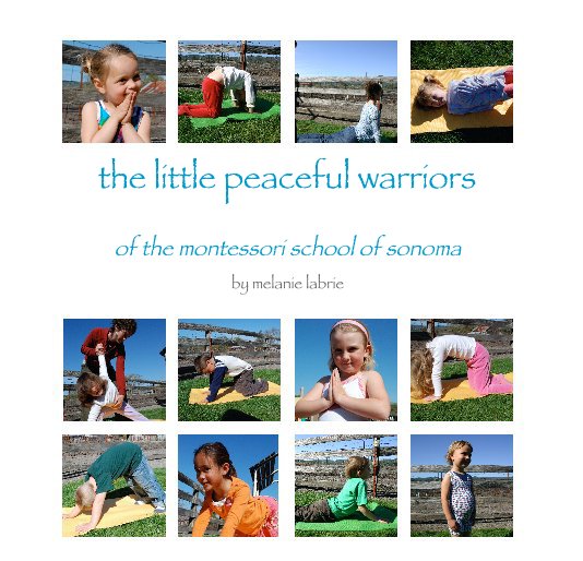 View the little peaceful warriors by melanie labrie