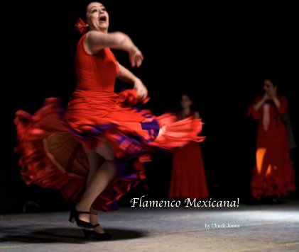Flamenco Mexicana! book cover