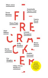 Firecracker 2012 diary book cover