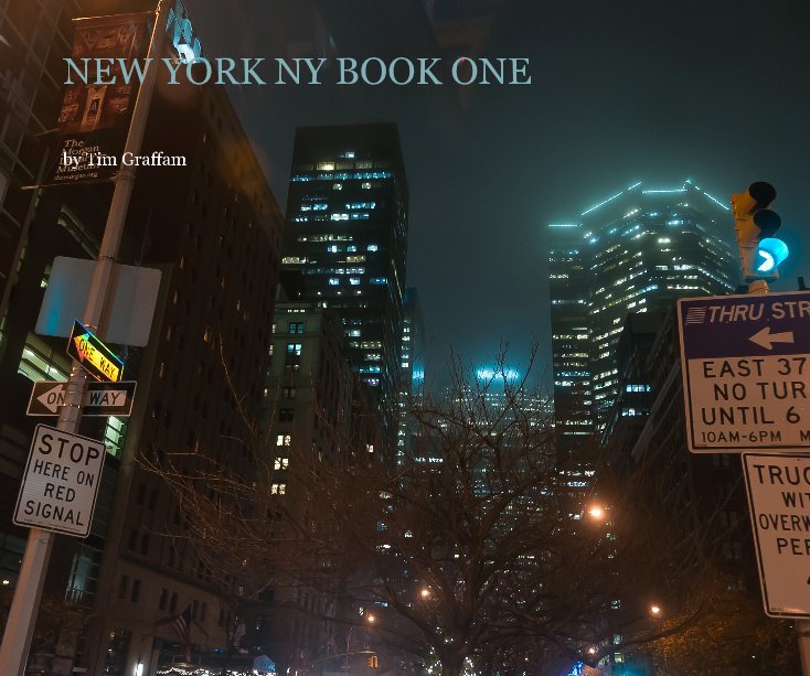 View NEW YORK NY BOOK ONE by Tim Graffam