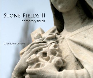 Stone Fields II book cover