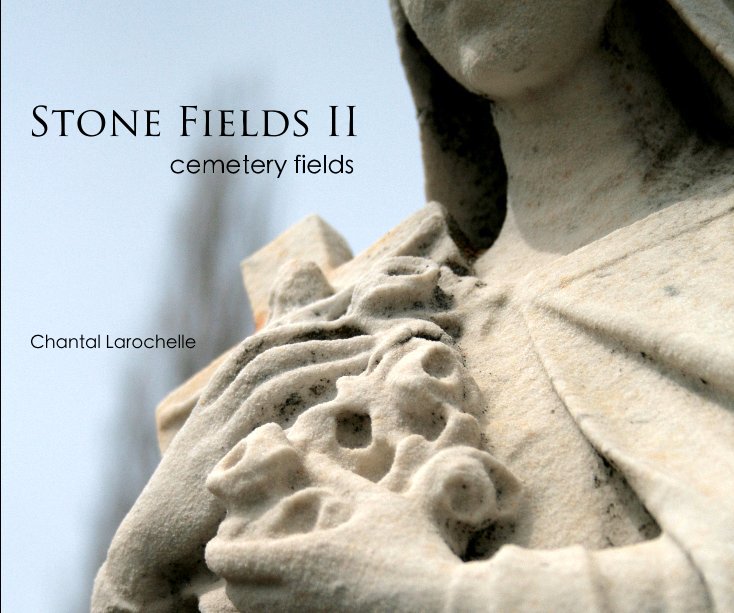 View Stone Fields II by Chantal Larochelle