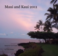 Maui and Kaui 2011 book cover
