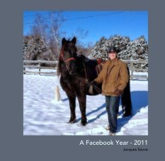 A Facebook Year - 2011 book cover