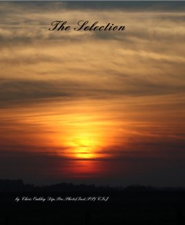 The Selection book cover