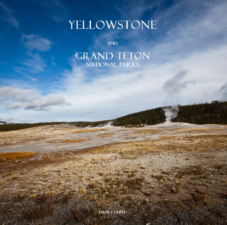 View Yellowstone And Grand Teton National Parks by Dave