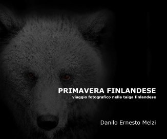 PRIMAVERA FINLANDESE book cover