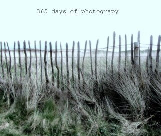 365 days of photograpy book cover