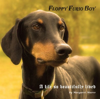 Floppy Furio Boy book cover