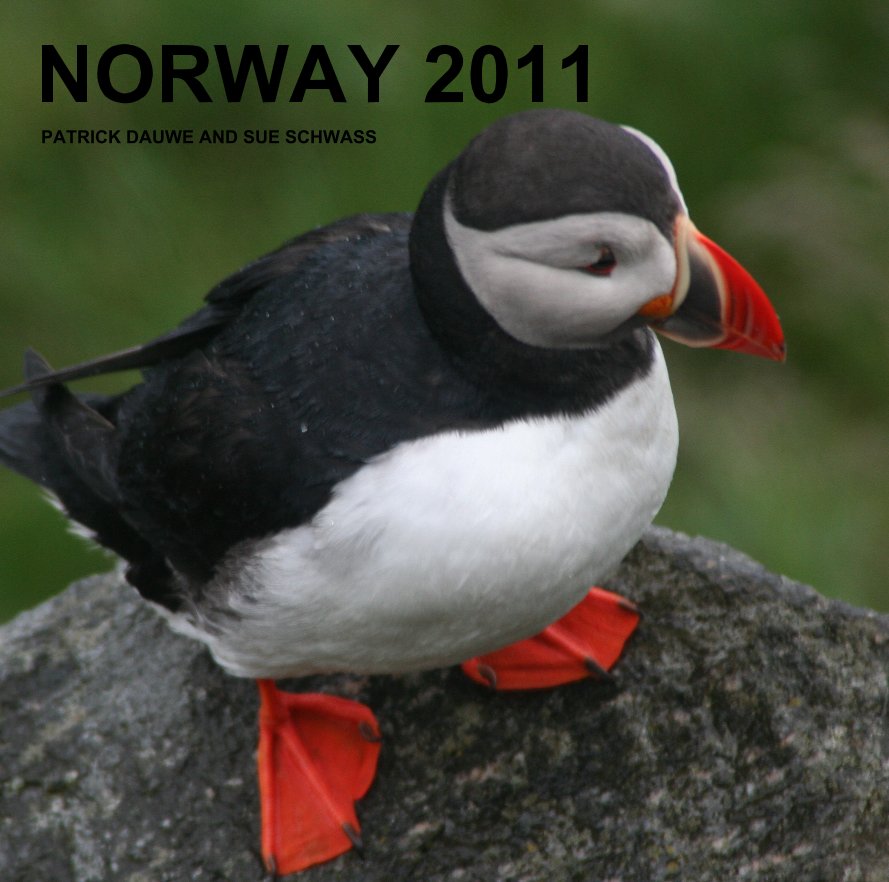 NORWAY 2011 nach PATRICK DAUWE AND SUE SCHWASS anzeigen