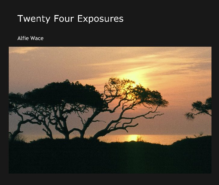 View Twenty Four Exposures by Alfie Wace