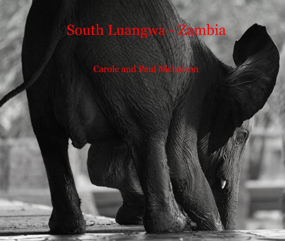 View South Luangwa - Zambia by Carole and Paul Nicholson