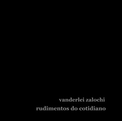 Vanderlei Zalochi book cover