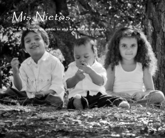 Mis Nietos book cover