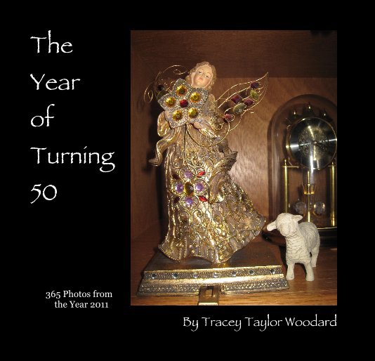 View The Year of Turning 50 by Tracey Taylor Woodard