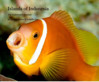 Islands of Indonesia book cover
