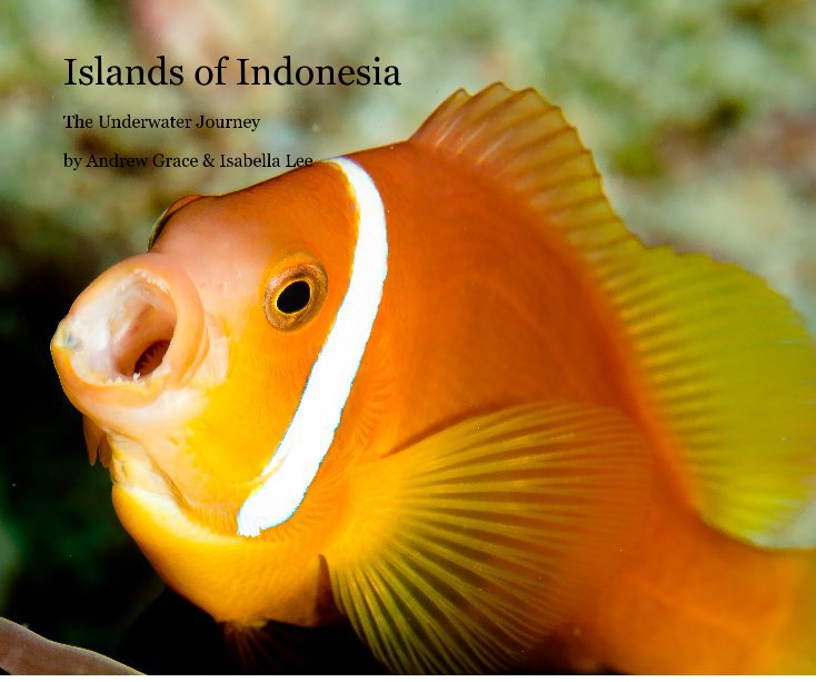View Islands of Indonesia by Andrew Grace & Isabella Lee