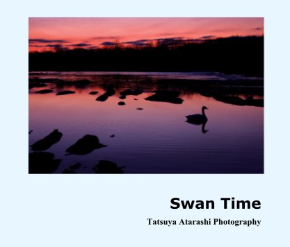 Swan Time book cover