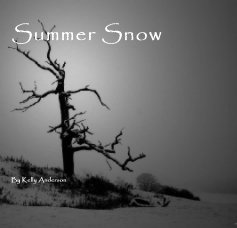 Summer Snow book cover