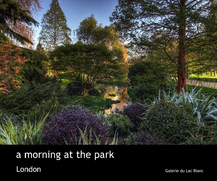 View a morning at the park by Galerie du Lac Blanc