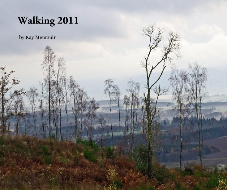 View Walking 2011 by Kay Menmuir