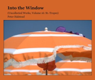 Into the Window book cover