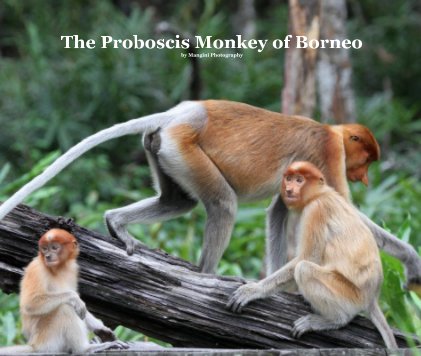 The Proboscis Monkey of Borneo by Mangini Photography book cover