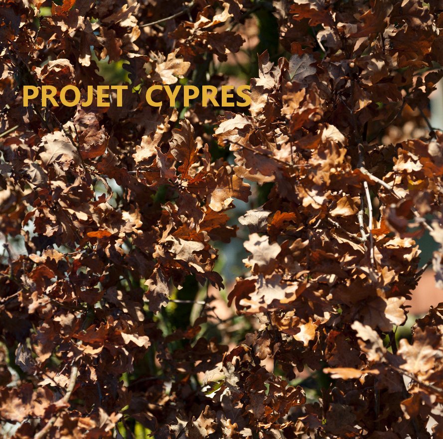 Bekijk PROJET CYPRES op leteuil