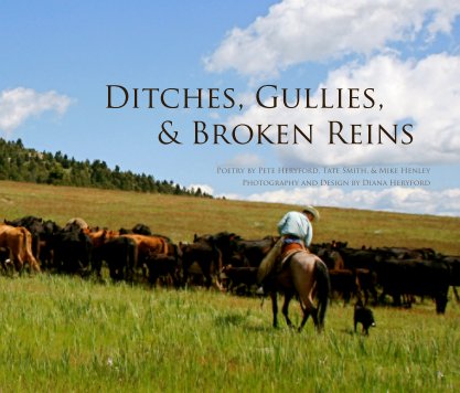 Ditches, Gullies, & Broken Reins book cover