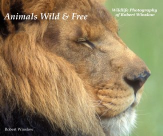 Animals Wild & Free book cover