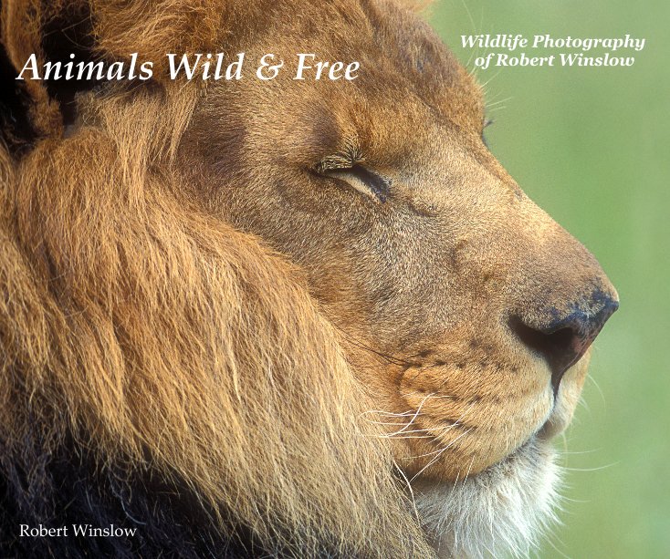 View Animals Wild & Free by Robert Winslow