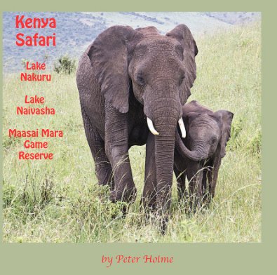 Kenya Safari book cover