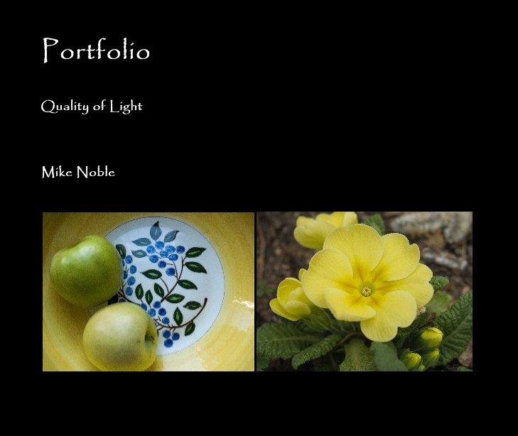 View Portfolio by Mike Noble