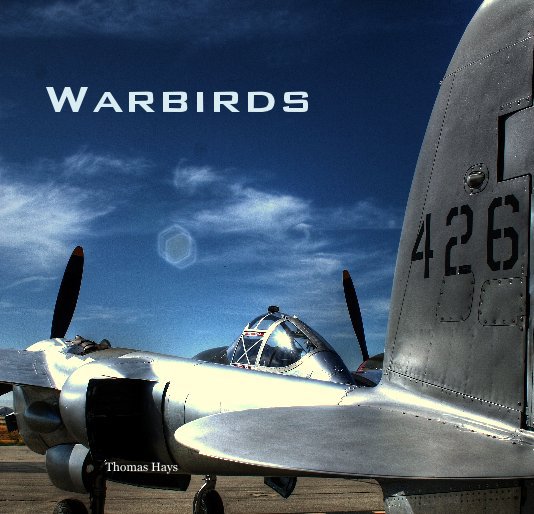 View Warbirds by Thomas Hays