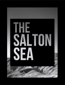 The Salton Sea book cover