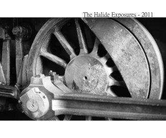 The Halide Exposures - 2011 book cover