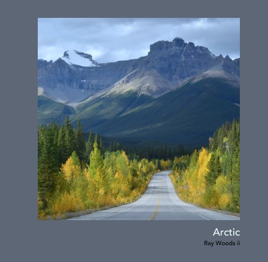 View Arctic by Ray Woods ii